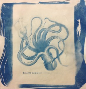 This image is an example of the cyanotype process, a process where a large photographic negative is placed over a piece of paper treated with a cyan mixture. This image is then placed in the sun, the resulting print is washed in water and the result is a blue and white image of the negative. 